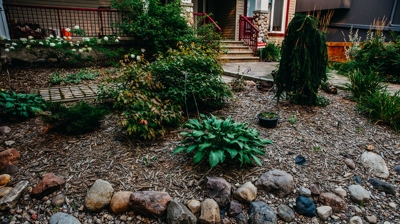 Wood chips, shrub, rocks, brick path. Photo